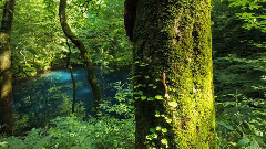 音乐短片,轻音乐,风景 - 日本秋田山