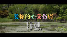 杨美华-爱你的心受伤痛MTV