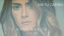 Sin Tu Cariño (Audio)