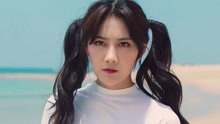  - 森林法则 MV预告片