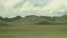  - 《你不像她》