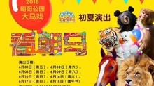  - 《朝阳公园大马戏》初夏演出季开演 六一上演马戏嘉年华