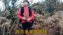  - 贵州山歌：冬月雪花飞满天