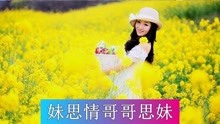  - 云南山歌：妹为情哥害相思