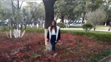  - 云南山歌：今生无缘唱来世