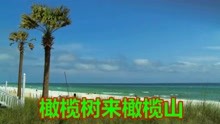  - 云南山歌：情妹想哥心好疼