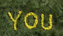 Matilda - You