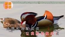  - 云南山歌：三十多岁当孤寡