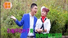  - 贵州山歌：石榴开花叶子青