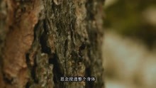  - 《七天七世纪》