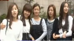 A Pink - Apink News