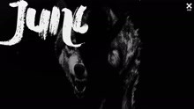 Jungle Kid (Cat Dealers Remix) (Pseudo Video)