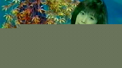 孟庭苇 - 真的还是假的