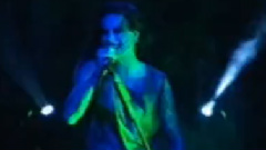 Vredesbyrd