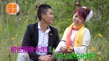  - 山歌《心到痛时恨欲随》