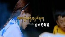  - 空中的群星