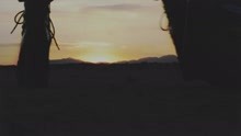 Cairo Gold - Hail Mary (Lyric)