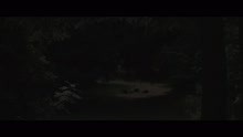 Motorowl - To Take