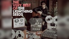 The Lightning Seeds,發亮種子合唱團 - Marvellous (7