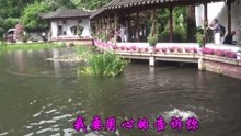  - 经典情歌