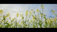  - 李浪浪 - 不配我眷恋
