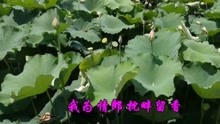  - 经典情歌