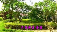  - 经典情歌