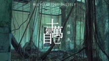  - 十万个自己
