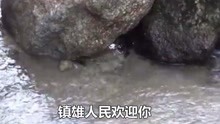  - 云南山歌祝你四季发大财