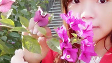  - 云南山歌：还是家乡好