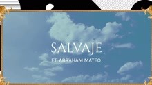 Lali - Salvaje (Animated Pseudo Video)
