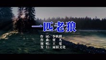  - 王觉、一匹老狼MTV