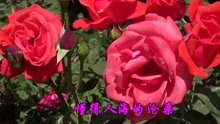  - 怀旧金曲