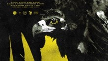 Twenty One Pilots - Levitate