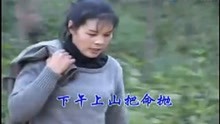  - 山歌剧丈母娘风流害全家