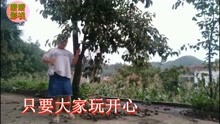  - 云南山歌妹家门前网红梨