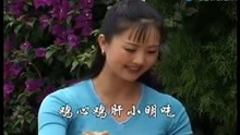  - 山歌剧：花开花落