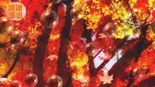  - 云南山歌生生世世我爱你