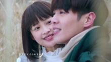 《十五年等待候鸟》插曲