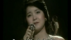邓丽君 - My Way