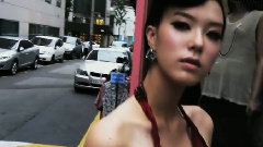 杨镇锡 - 林荫路