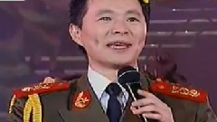 王宏伟 - 西部放歌