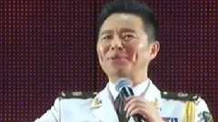 王宏伟 - 双拥花开