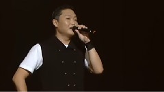 Psy - 燃烧的火鸟