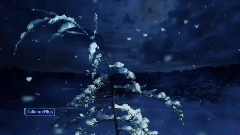 Winter Feelings
