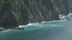 Voice Of The Sea