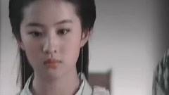刘亦菲 - 锦鲤抄