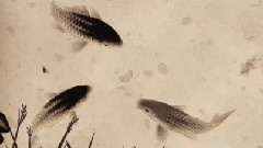 原创 - 锦鲤抄