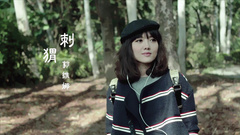 华语群星 - 刺猬