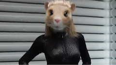 Maroon 5 - Animals